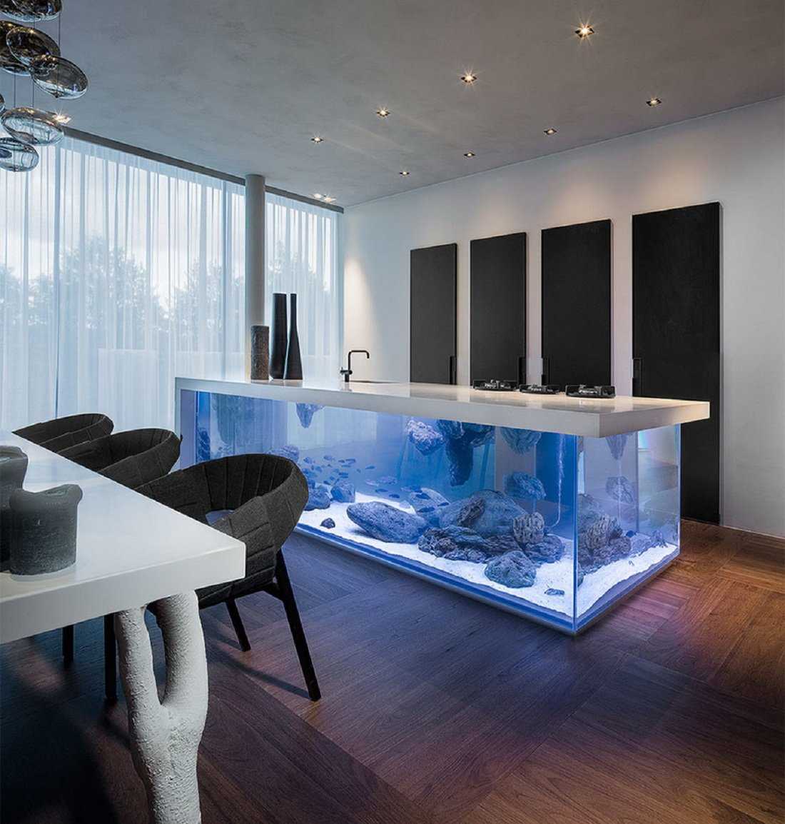 Требования к выбору и размещению аквариума в стену между комнатами