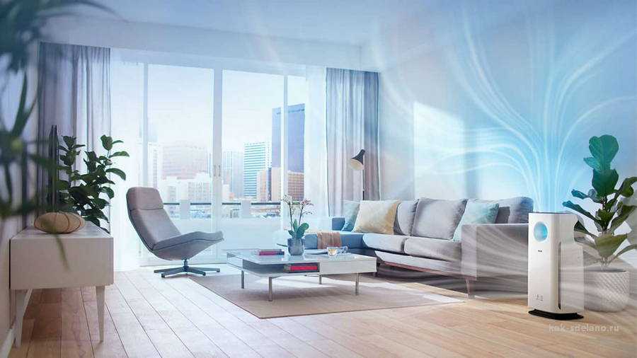 Рейтинг лучших воздухоочитителей для квартиры и дома