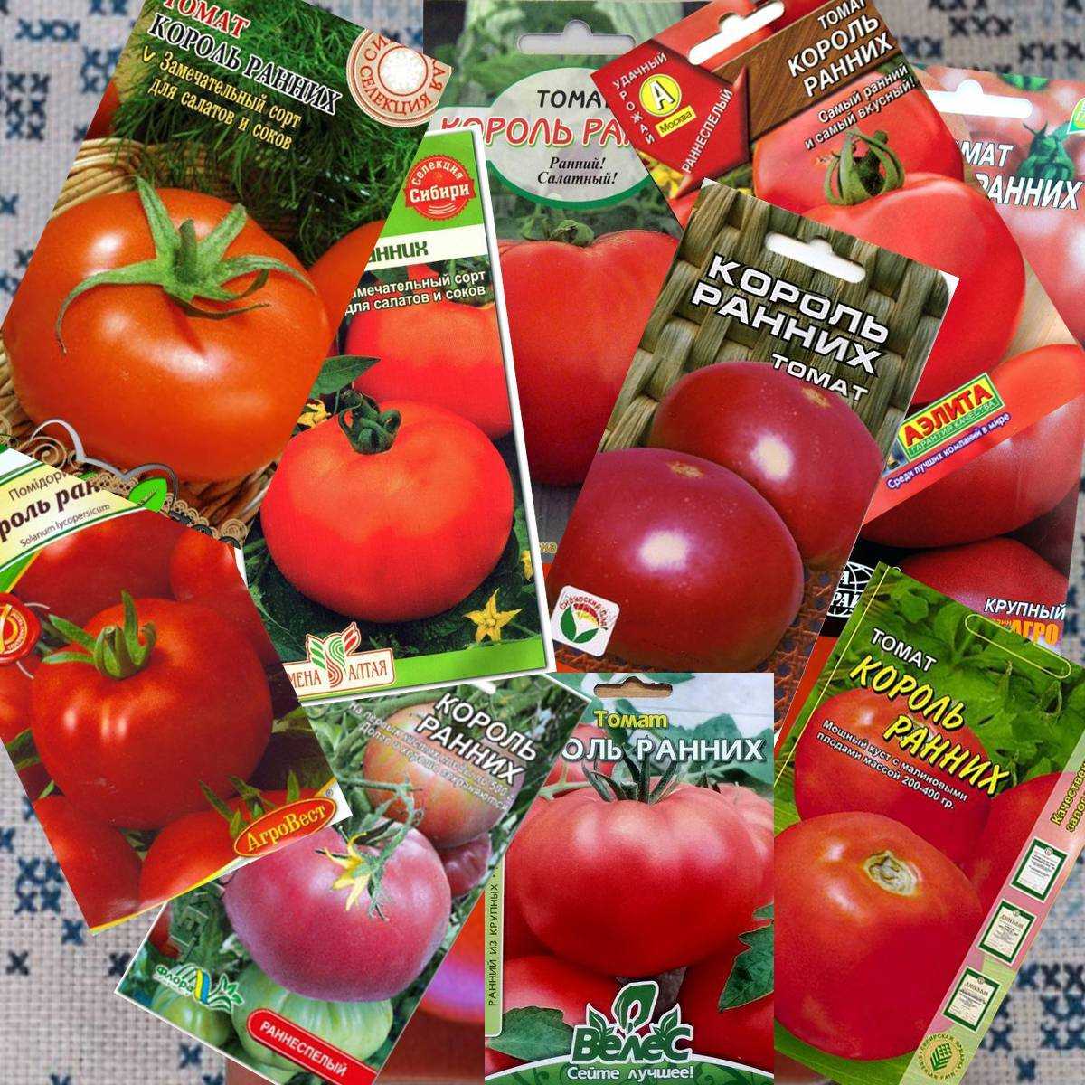 Лучшие сорта томата для подмосковья для теплиц и открытого грунта
