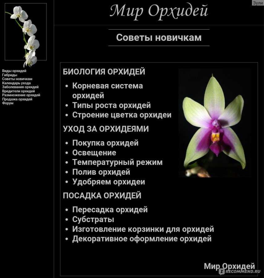 Орхидея — характеристика, уход и пересадка цветка + 85 фото