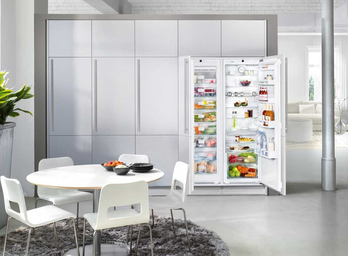 Дизайн кухни с холодильником: топ-180 фото и видео дизайнов. выбор места расположения холодильника на кухне. основные правила установки. особенности холодильника на балконе и в коридоре
