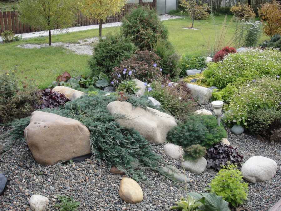Рокарий — пошаговая инструкция как создать каменистый сад в ландшафтном дизайне своими руками