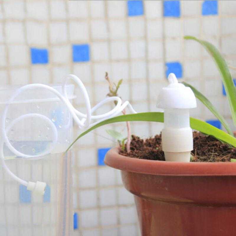Как сделать автополив для комнатных растений самостоятельно